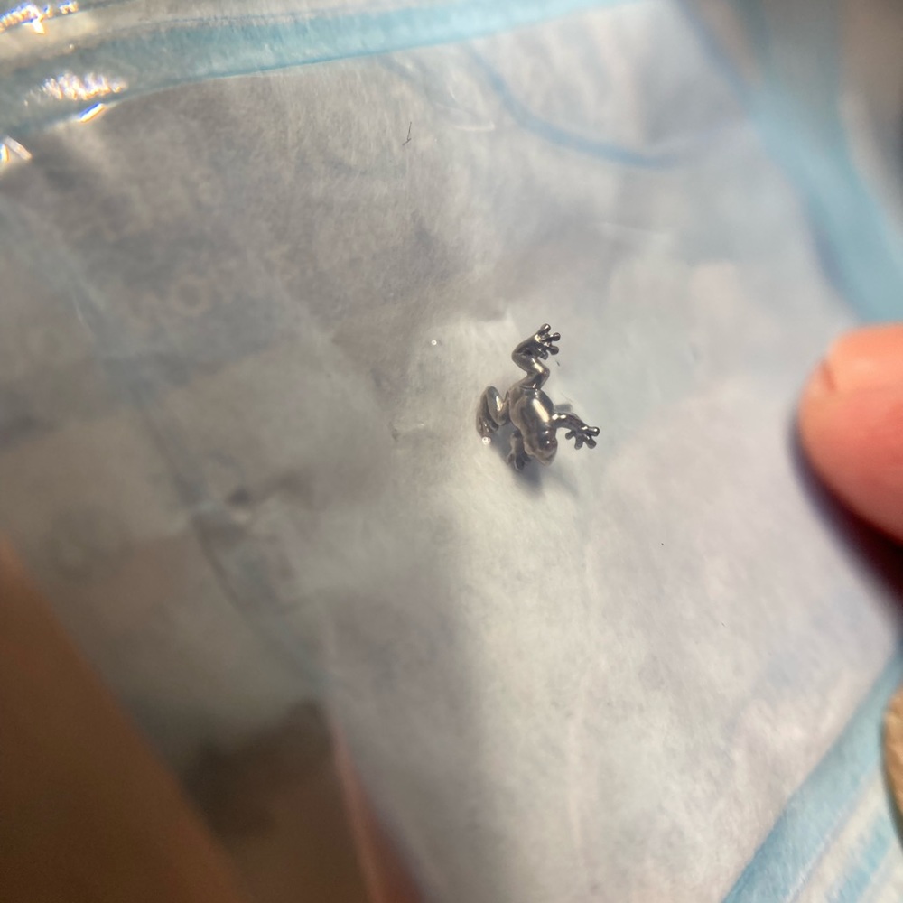 ❌SOLD❌ Anatometal WG Tree Frog
